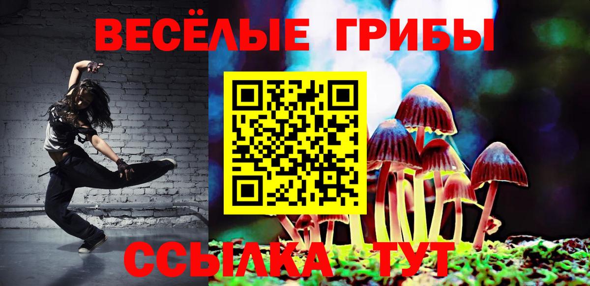 Псилоцибиновые грибы Cubensis  Вход с VPN  Истра 