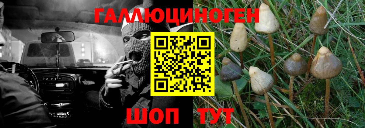 Псилоцибиновые грибы Magic Shrooms Истра