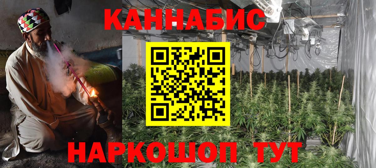 Бошки Шишки VHQ Истра